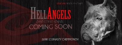 Hell Angels - Coming soon !!!!!!