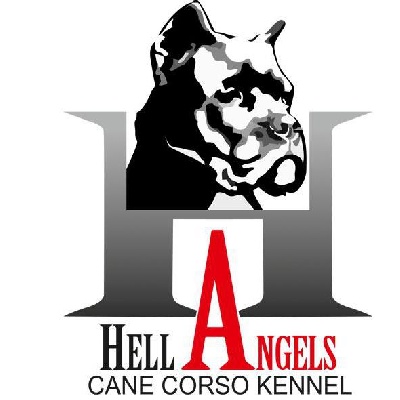 Hell Angels - NEW LOGO 