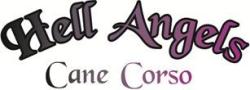 Hell Angels - FACEBOOK